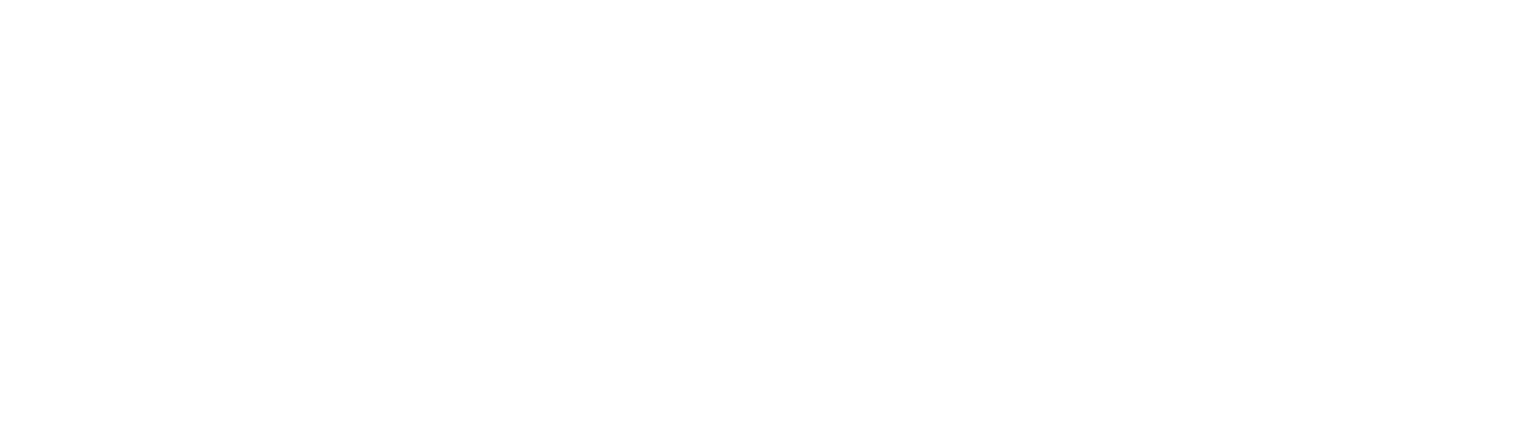Sync EHS Logo White